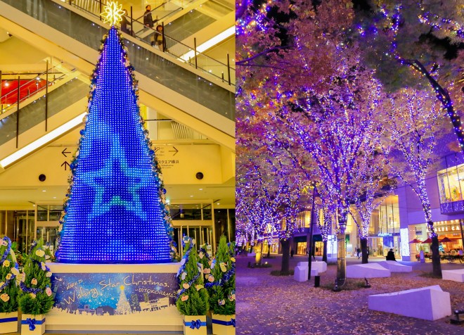 【MARK IS みなとみらい『Wishing Star Christmas Tree』】【 『グランモール公園 Bright Illumination 2017-2018』】期間：2017年11月7日（火）〜12月25日（月）／神奈川・横浜