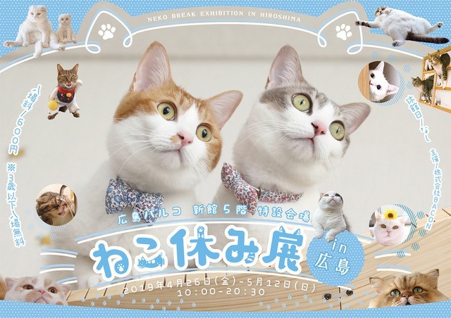 猫の合同真展＆物販展『ねこ休み展 in広島』