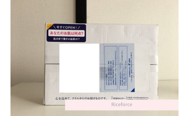 riceforce1
